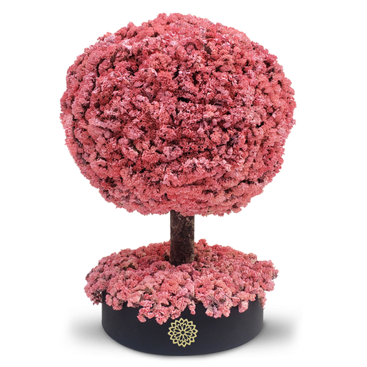 Árbol de Gratitud - Dura 6 meses